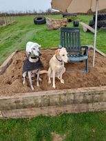 1091 01f672be53ba3419368fbe949eff5a27 1