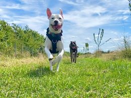 1091 0d35b385d900369a74f99282ee8167d6 1