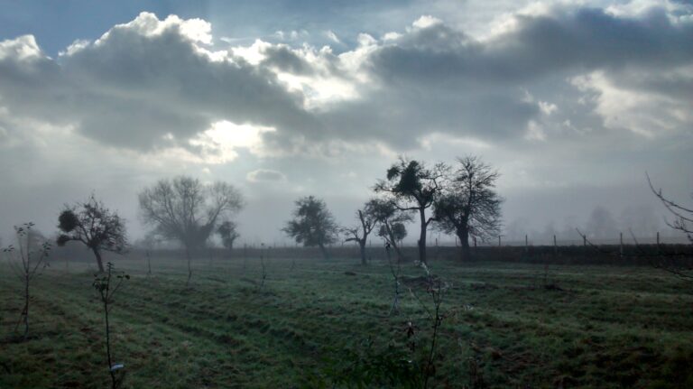 1091 1caaf4684d786d2cb100a06070296eed 1 768x431