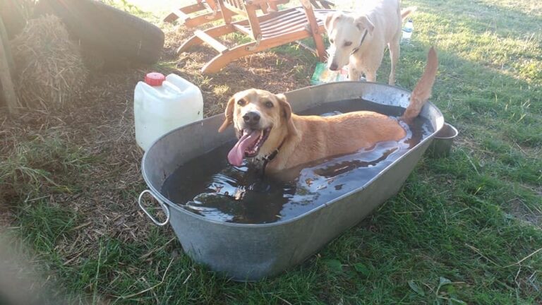 1091 3f42225112e4eb83c0c3f4b8161ca1a8 1 768x432