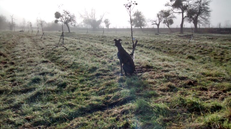 1091 4d999ac4dee2c088e1b31892c9a24254 1 scaled 768x431