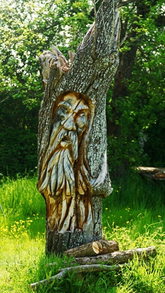 1091 536b42a9009914082b36157c89221413 1