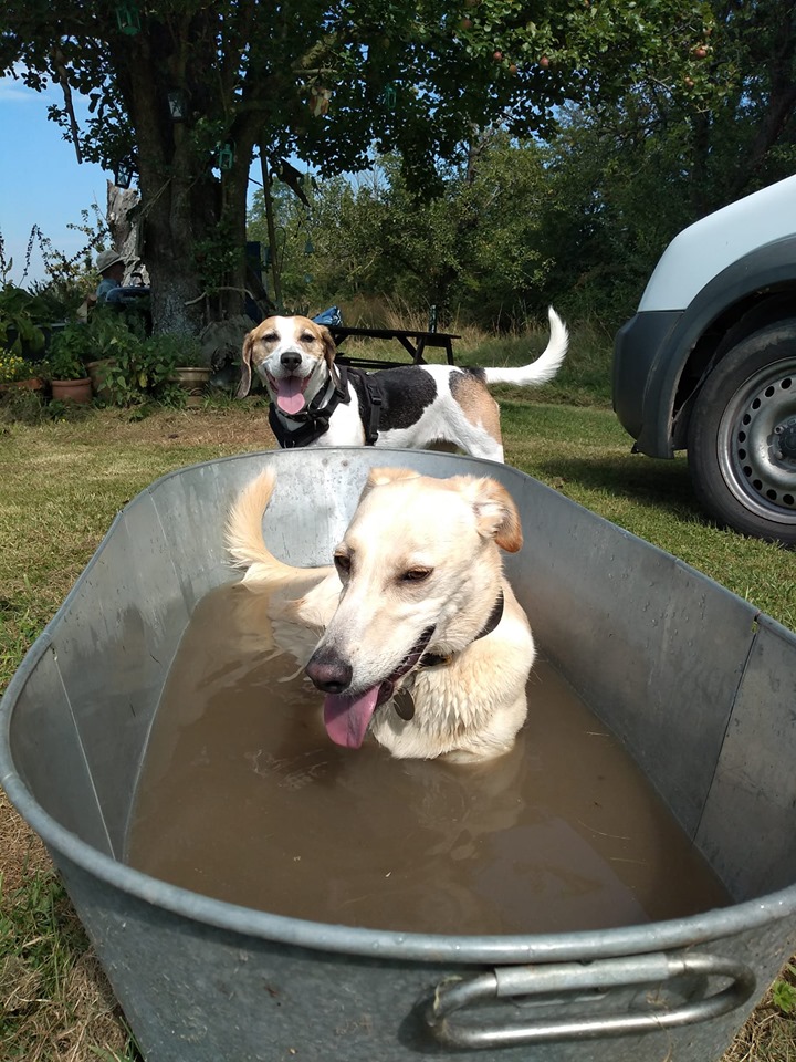 1091 cb31dff6b4e757113ad7a6d845e56404 1