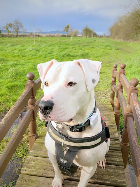 1091 ccc5f98749f4b7331395c2606d9fc07c 1