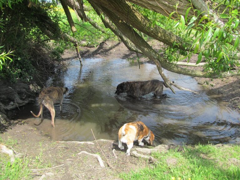 1091 de85568f8c615197098fb28e3d084934 1 768x576