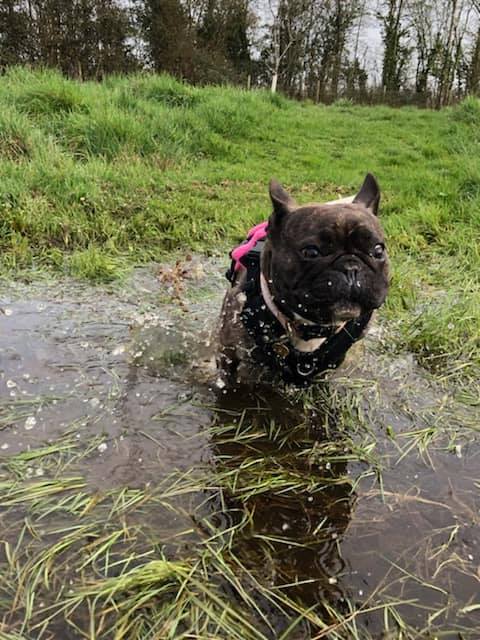 1091 f814febef422483fab3f3789c8dbd0d8 1