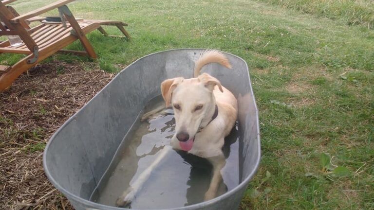 1091 fd415bdb13ce8cd694e3d68b5f88f17b 1 768x432