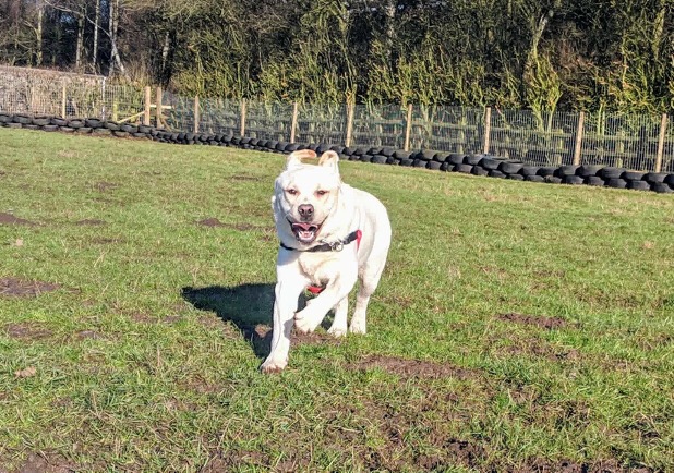 1092 d178a2c5ce907e338ccf80484d7c5f84 1