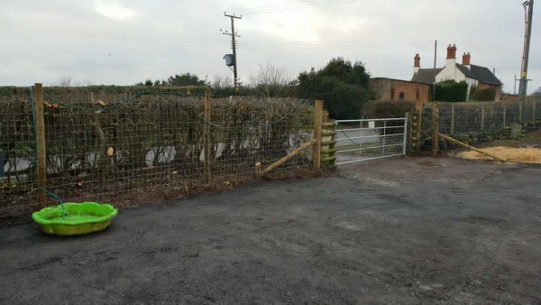 1092 d98618581e5b6570c3e6bbfb9e7a63ed 1