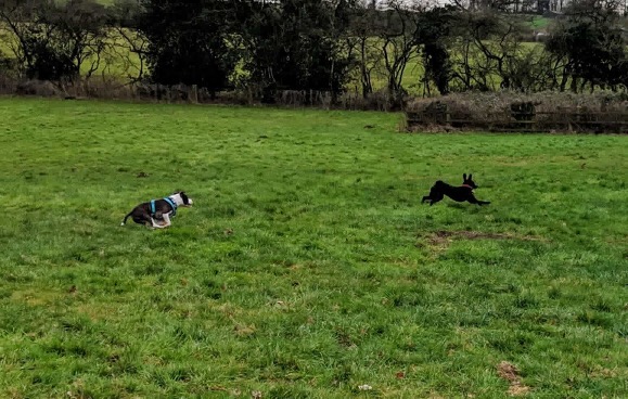 1092 dc60b76c92ebce9eaeb4bc8a62e0871b 1