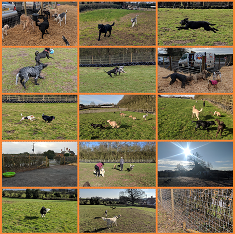 1092 eec16fe5878e4cffe8b7cd17bd533d3b 1