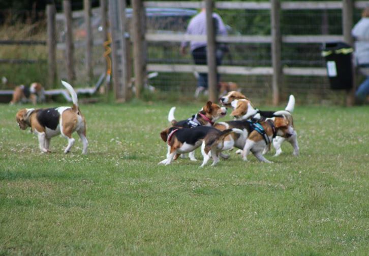 1097 13c80ada1facdb42c1b873fab86364ea 1