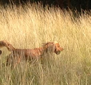 1097 189bc7a260b47a6cda75463a7b9ac05b 1