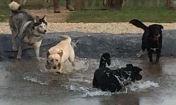 1097 39eadbebbfe087995e9c8c3aa8d79e92 1