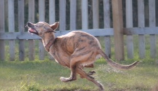 1097 3ce6156bf2bbb8f88d01e1ecbbe1463a 1