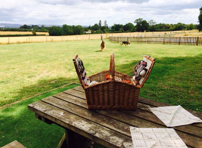 1097 72868eb71781570a20cbd60e9f869029 1