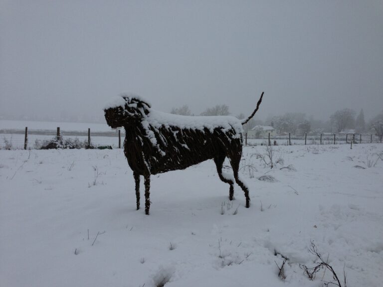 1097 7fa84481cbacc82e2f4ad8aa48aa4a1e 1 768x576