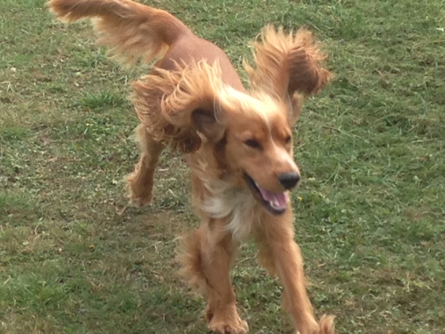 1097 b056e7eca3d0ca29951ce39786c66e98 1