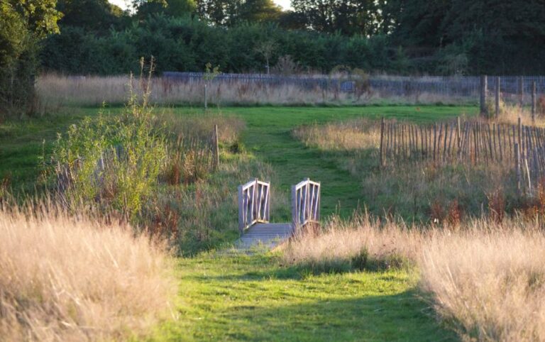 1097 c27f525812b19e24b5bf5473b32a2f98 1 768x482