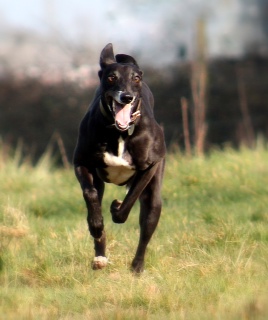 1097 c606f7d37eab5c5e8164acd8b095e0fa 1