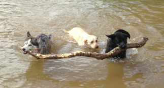 1097 d4fc95dc38762b0261a2fd82b0977da8 1