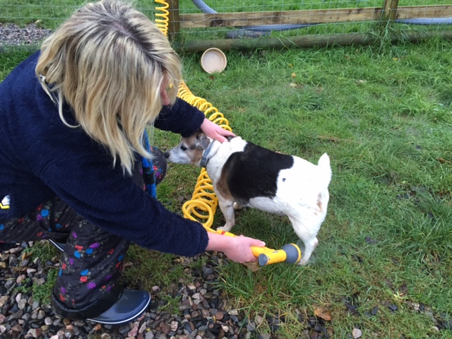 1097 eb38d21a4498904039178f295c526bda 1