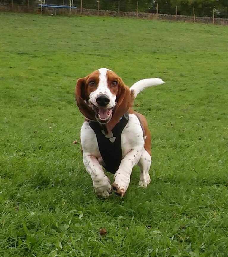 1098 621f4b86dc32e61797a52228922daace 1 768x868