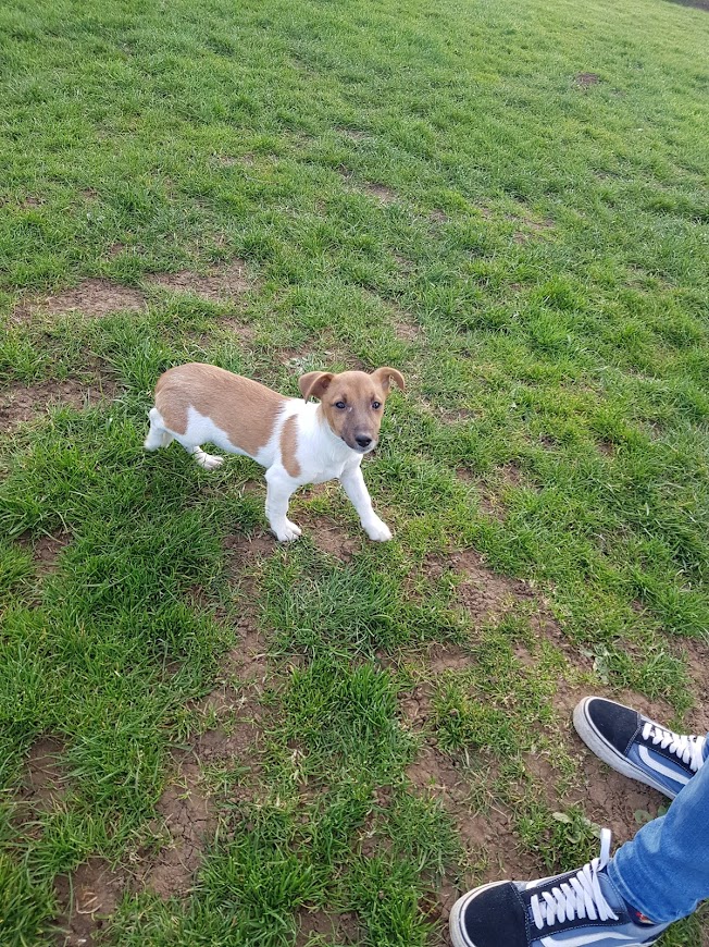 1112 8d527c3773eac67fd812d7186b798737 1