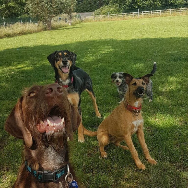 1112 feaedc5b1844e8d758b4a72d3dd2ef4e 1 768x768