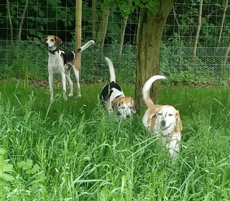 1114 8f42c61292f924784b2ed6569a261e1d 1 768x670