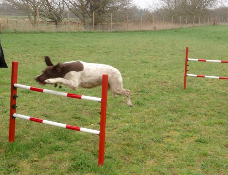 1114 c5f055a29b3e3d8273fd3d638a6bde22 1 768x589