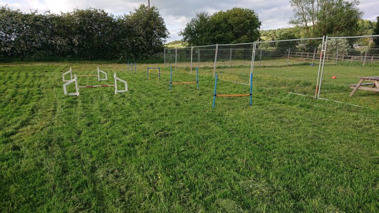 1122 22ee61b6298a95ff20e25561d10418b5 1 768x432