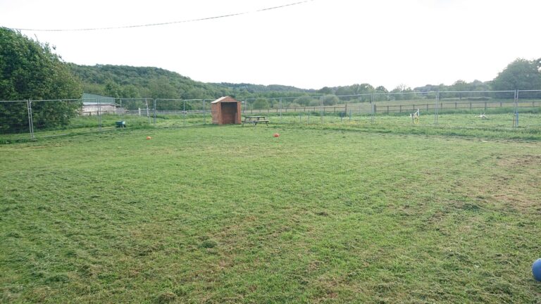 1122 3ebc68797ddcfe28c453a80579482ee0 1 768x432