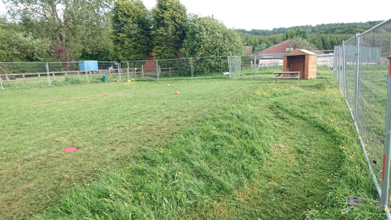 1122 6892997624bde6a58d59ae8eb921e103 1 768x432