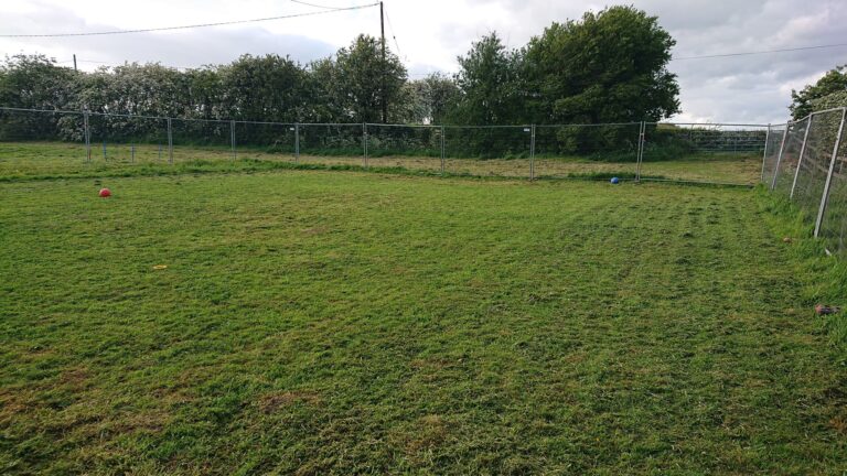 1122 a4e8042f4b9a751817516cc01e023152 1 768x432