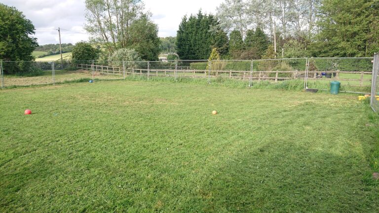 1122 f92ff74bdef19ab33b386eda49410410 1 768x432