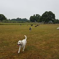 1125 0092bf186662c7dc56d94c287fae8cdc 1