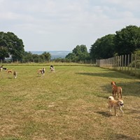 1125 37faf538c503c957456bca6916ddd327 1