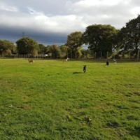 1125 4bca0f0ea498e452dc90a94a1e967b38 1