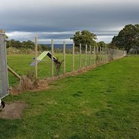 1125 7edda9180dbbe6b98ab4bdec863048cf 1