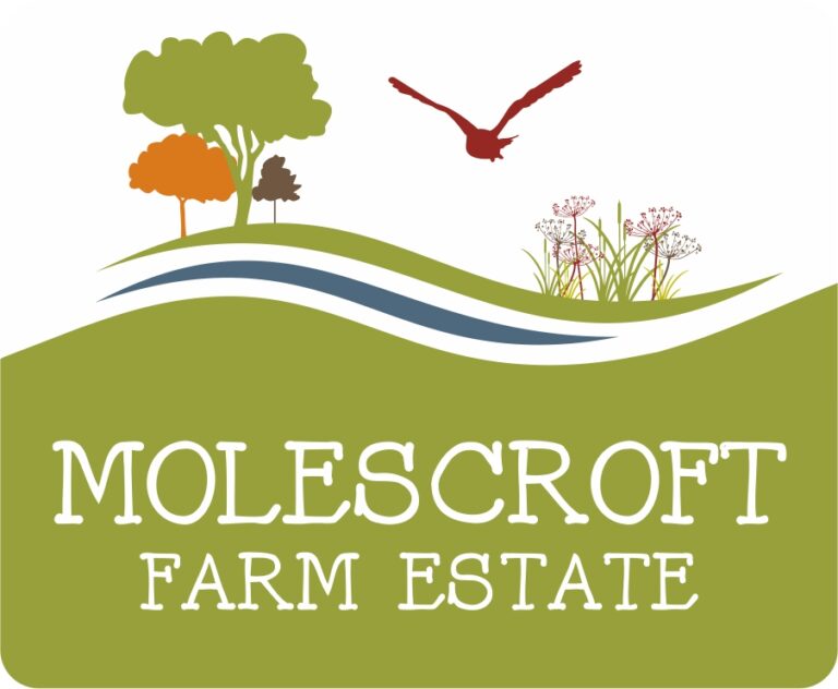 1126 ff08e0eddd302143ea71759dfbc4234c 1 768x632