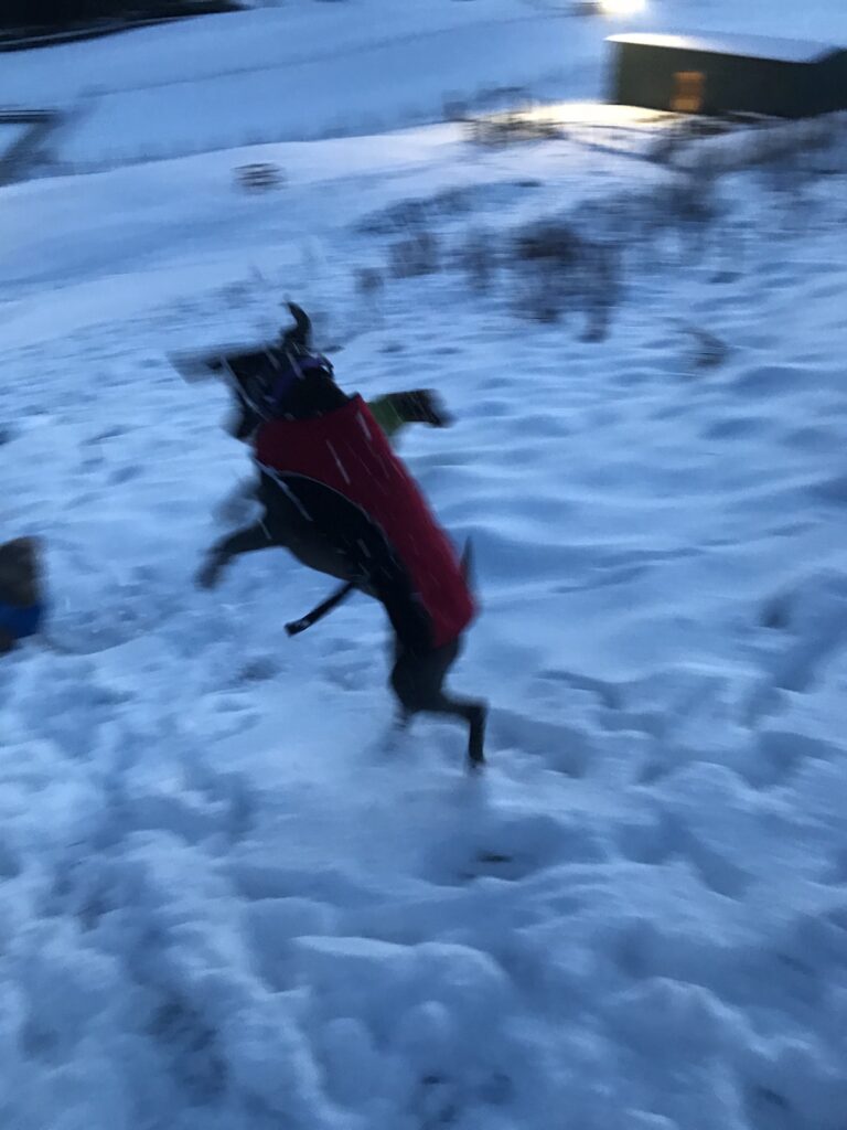 1131 4ee19574fef4e8b92f7a08ef9dc94506 1 768x1024