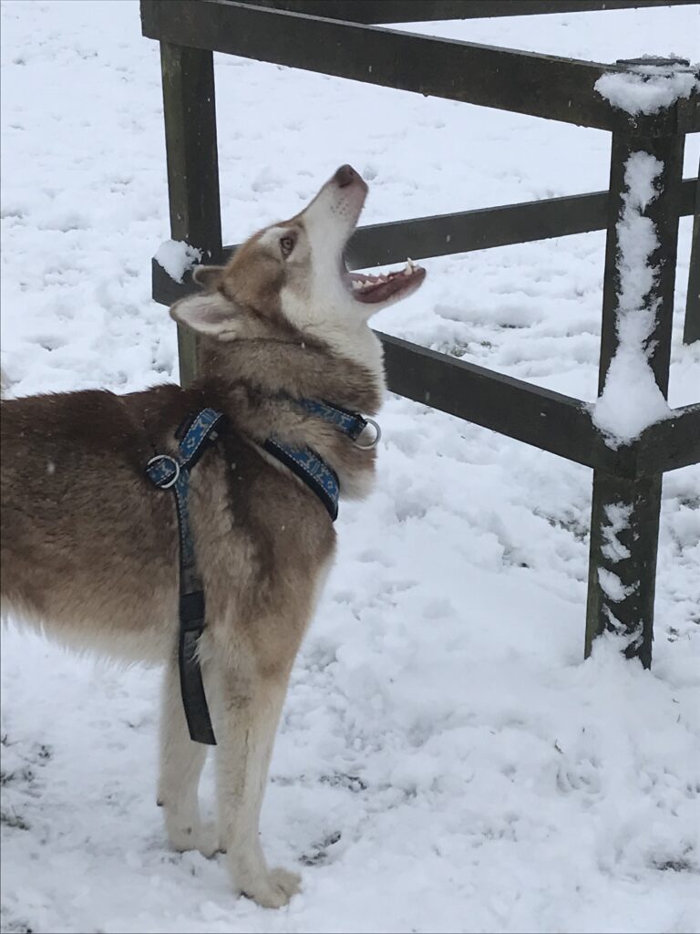 1131 73c8681716111a25f828afe5b73027cd 1 768x1024