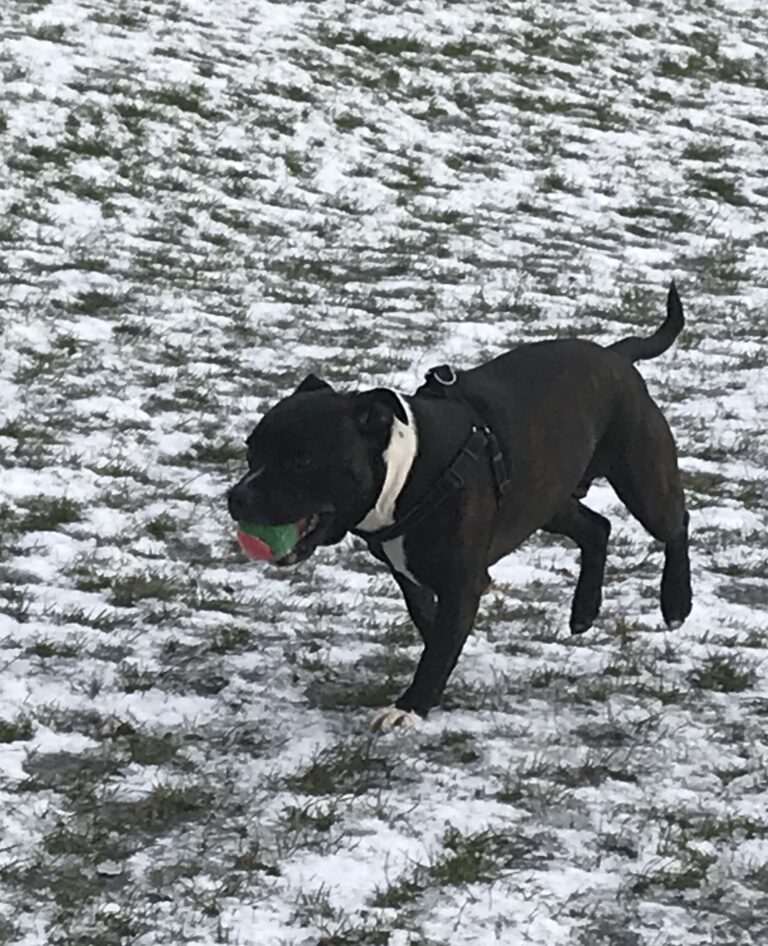 1131 83880cdfb685f6e4e304b777a016398a 1 768x946