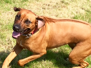 1131 a2e69a381f7a4fe6aff4b59397891e81 1