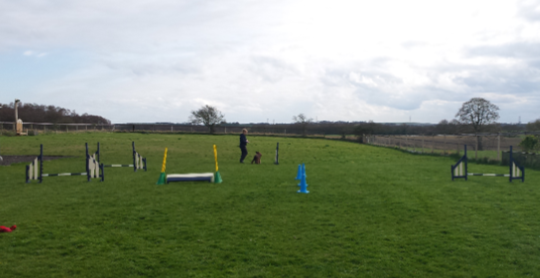 1134 db85c2aa6d31a0821e3b74e086bb0c77 1