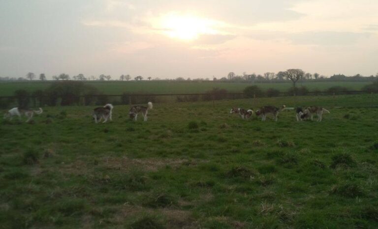 1134 e6630838a9c593934a116d7e99feed02 1 768x466