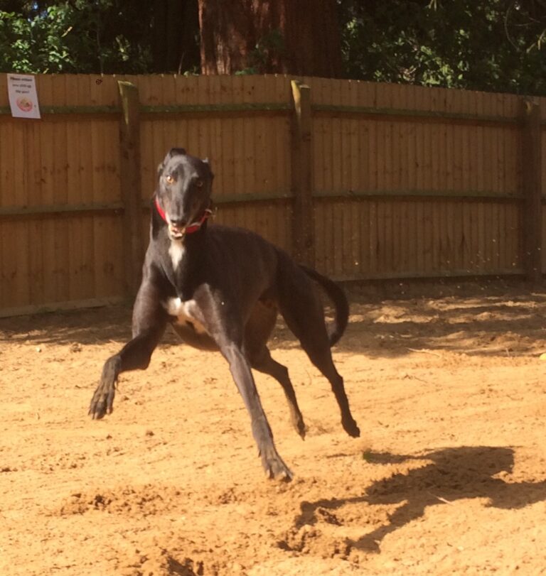 1149 bccc4b7d87c7e914894d8798b2f65d76 1 768x811