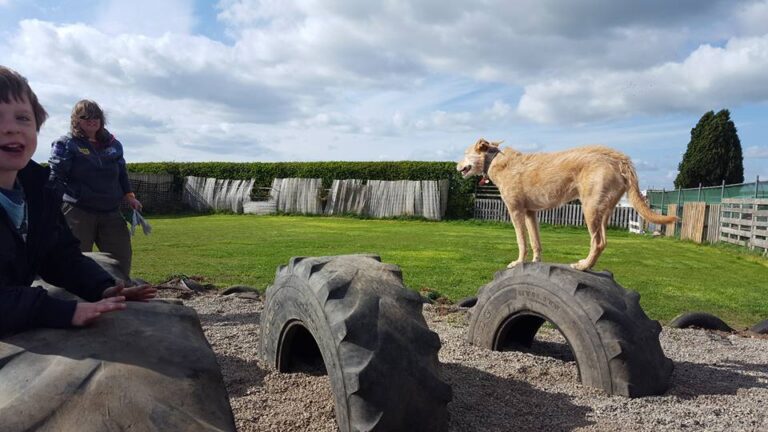 1150 5b1eed31060be70549aeccc9024bef5f 1 768x432