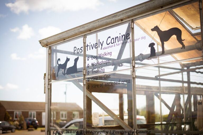 1150 6de250b34a3010f696f1d24f4230b1b7 1 768x512